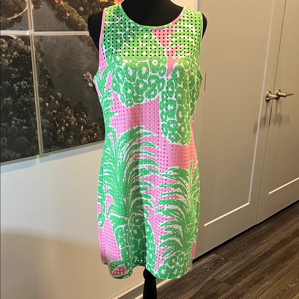 Lilly Pulitzer Pink and Green Dress